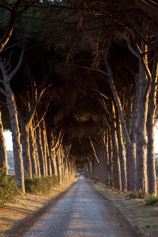 Agriturismo Pantano Borghese Monte Compatri エクステリア 写真