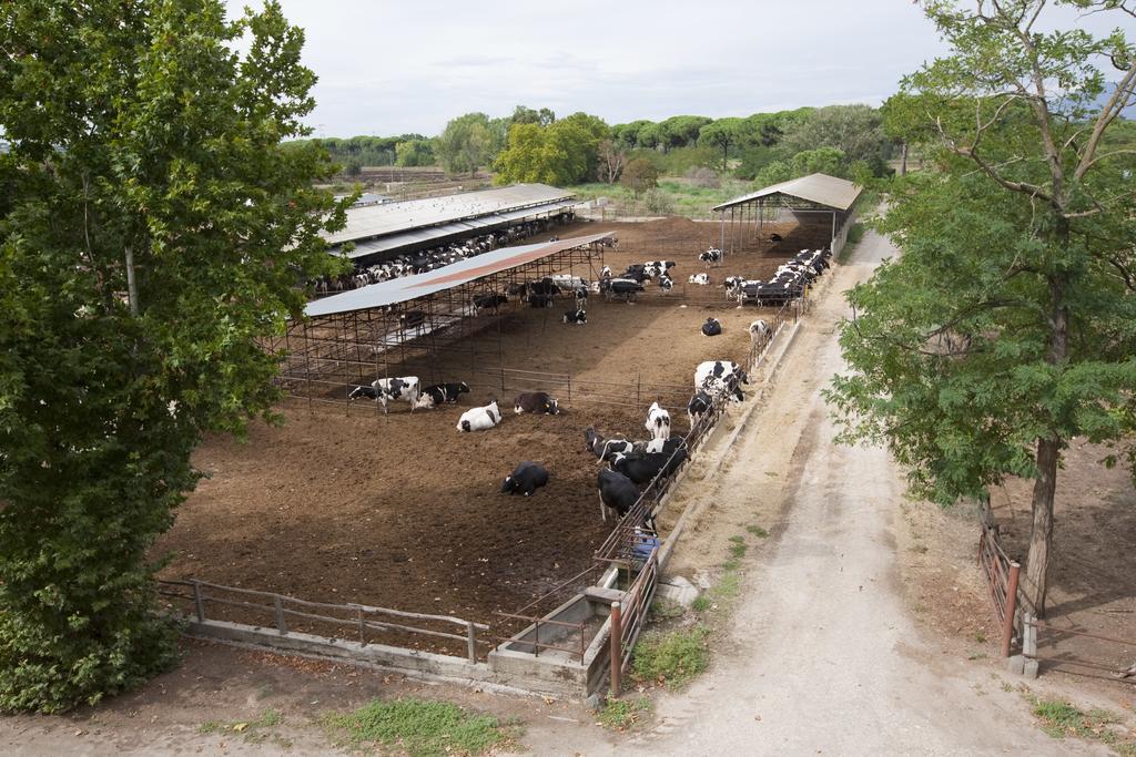 Agriturismo Pantano Borghese Monte Compatri エクステリア 写真