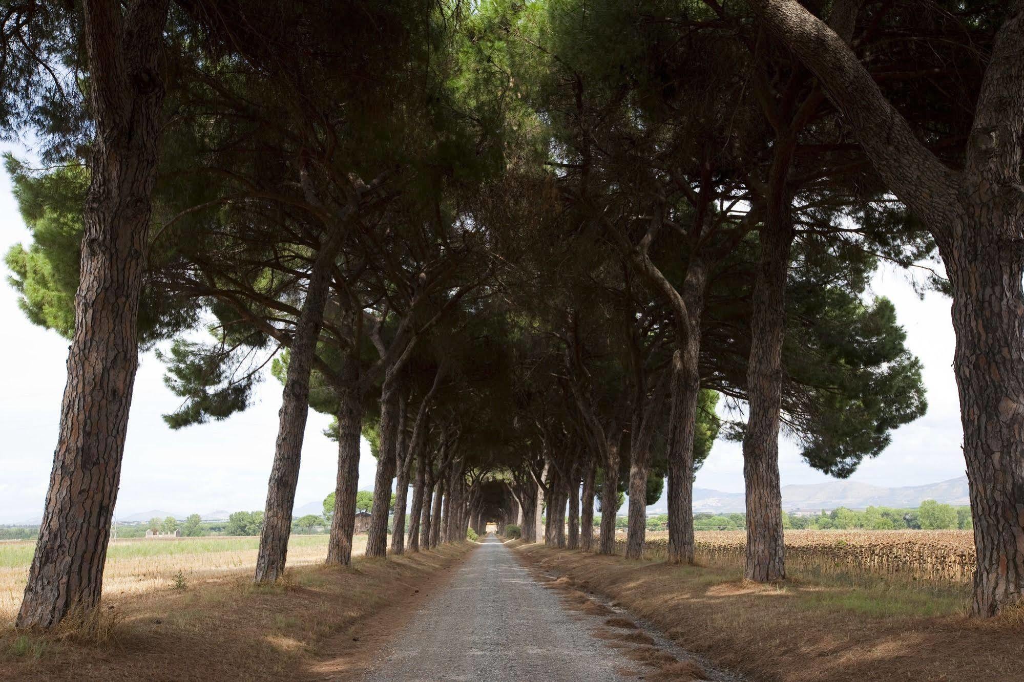 Agriturismo Pantano Borghese Monte Compatri エクステリア 写真