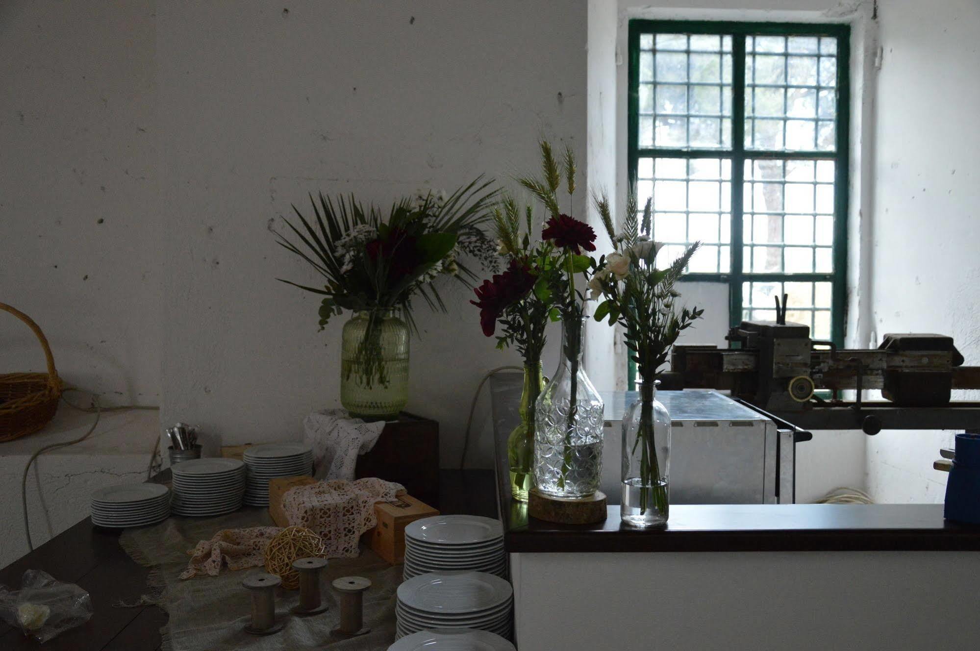 Agriturismo Pantano Borghese Monte Compatri エクステリア 写真